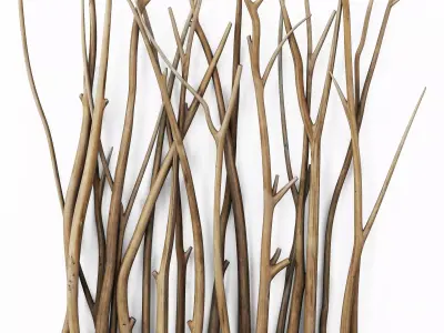 Branch old screen n1 3D model