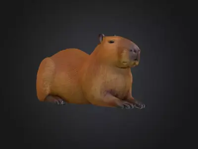 Capybara Low-poly 3D model