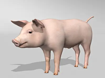 Pig and Piglet 3D model