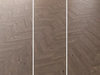 Parquet Oak Missisippi Wild Wood set 1 3D model