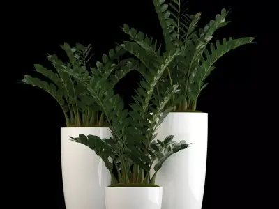 Plants collection 56 3D model