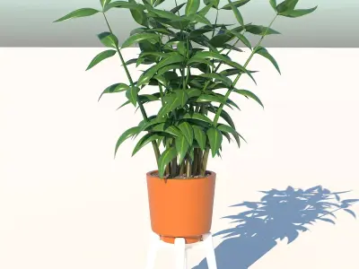 Dracaena and Pot  Low-poly 3D model
