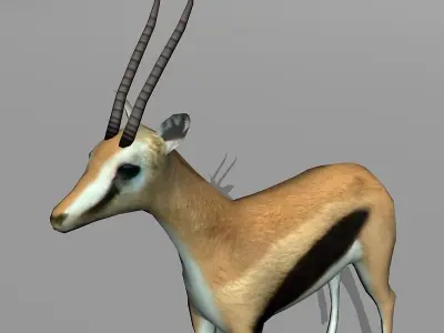 gazelle Low-poly 3D model