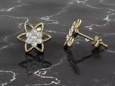 Jewelry Earring 3D print model