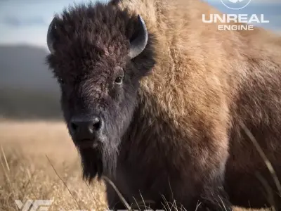 Bison Male  UE Character Asset 3D model