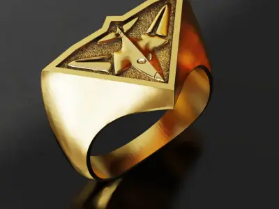 Essendon Australia Football Fans 3D print model 3D print model