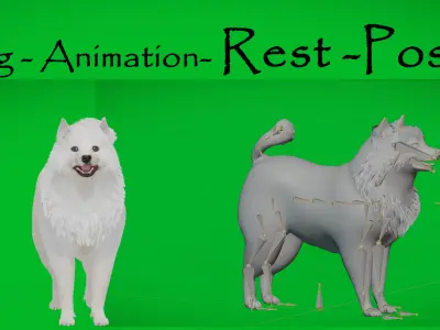 Samoyed Dog Low-poly 3D model