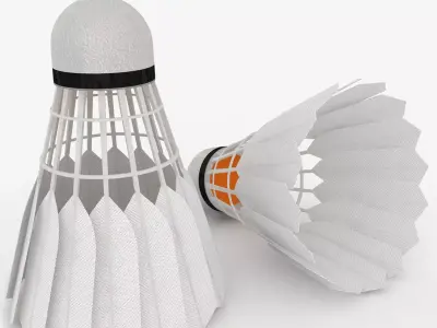 Shuttlecock Low-poly 3D model