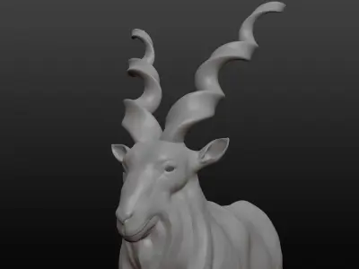 Markhor Base Mesh 3D model