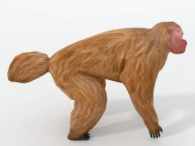 Uakaris monkey Low-poly 3D model
