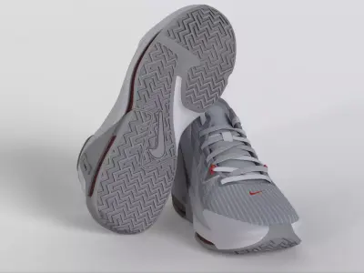 NikeLeBron Witness 6  Pure Platinum Low-poly 3D model