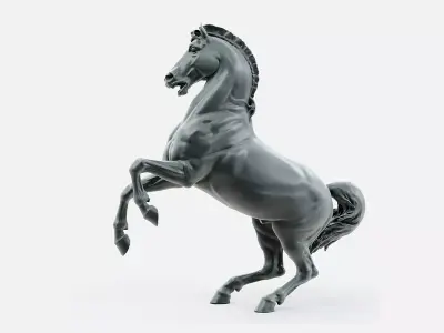 A rearing horse 3D model