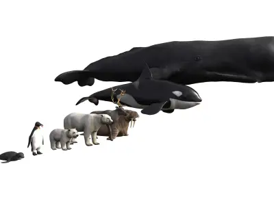 Arctic Animal pack Low-poly 3D model