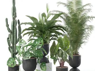 20 Photorealistic Flowers for Interiors - set 125 130 135 140 3D Model Collection