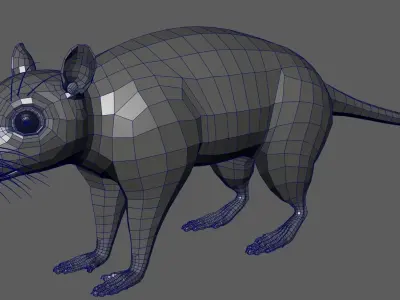 Rat Realistic Lowpoly Low-poly 3D model