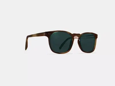 Elio Sunglasses in Black Walnut 3D model