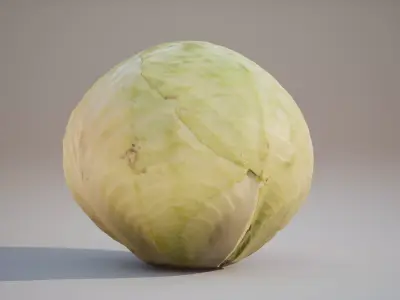 Low Poly 3D Cabbage model Game ready 4K PBR Textures UE Low-poly 3D model