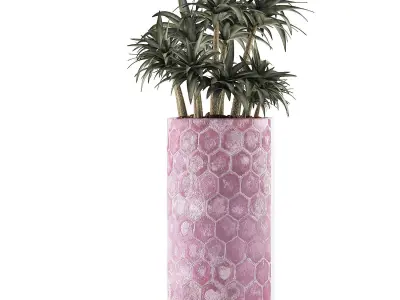Plants Collection 115 3D model