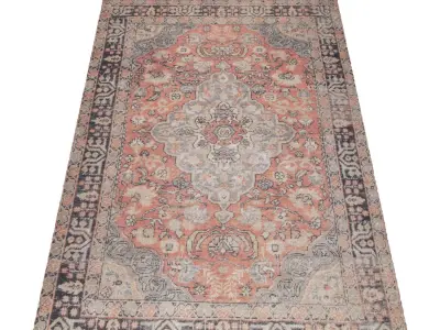 Rug Set 1356 3D model