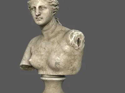 Venus de Milo Bust Classical Marble Sculpture 3D model