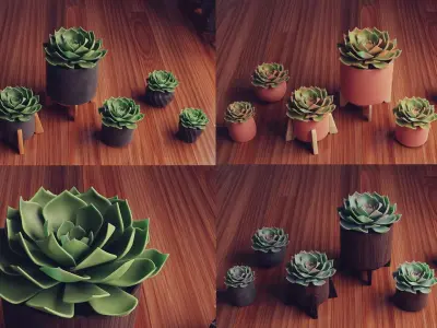 Collection of Succulent Plants  Plants Vol 03 Low-poly 3D model