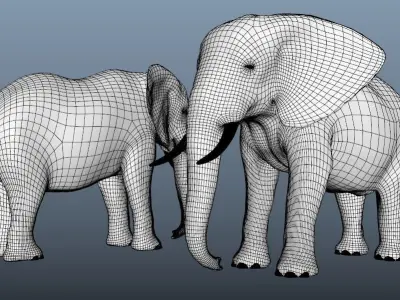 Elephant Base Mesh 3D model