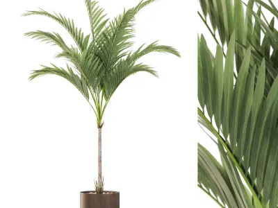 Plants collection vol 43