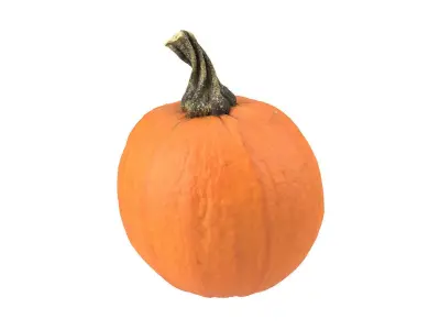 Photorealistic Decorative Gourd 3D Scan 3 3D model