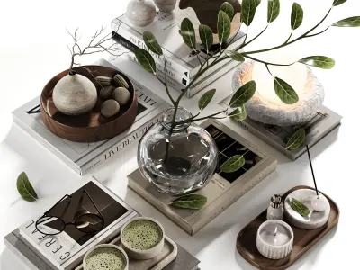 Decorative Set 22 3D model