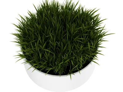 Decorative Grass 3D model