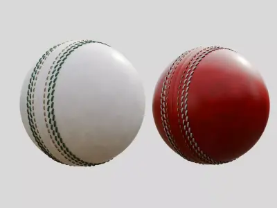 Cricket Ball 3D model