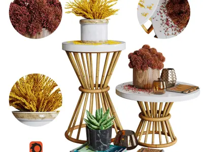 Aloysia Rattan decorative set 3D model
