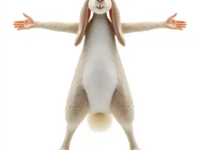 Charming Rabbit model pack Low-poly 3D model