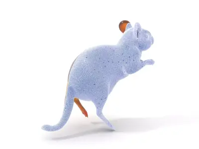 Bushy Tail Jerboa model pack Low-poly 3D model