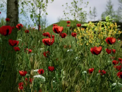 Scanned Poplar-Aspen Forest with Seasons for Unreal Engine 4 - 5 Low-poly 3D model