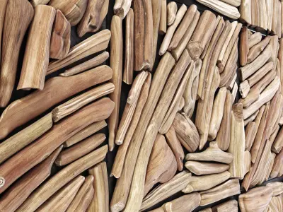 Rectangle panel branch splinter Big n7 3D model