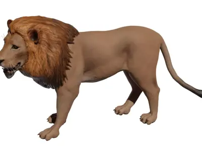 African Lion Low-poly 3D model