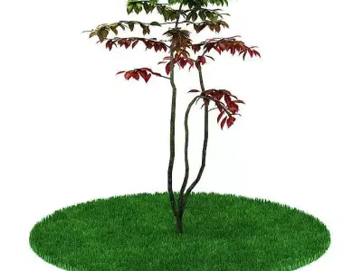 Artificial Garden Plant 3D model
