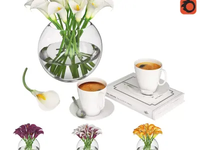 Calla Flowers 3D model