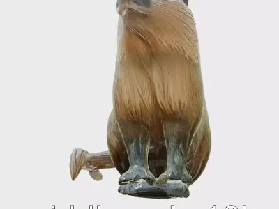 Nutria Model with Natural Habitat Base Low-poly 3D model