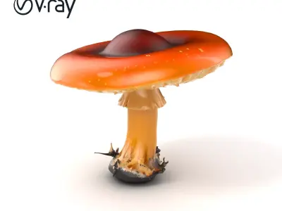 Summer Honey Fungus Mushroom model pack Low-poly 3D model