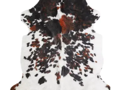 Tricolor Cowhide Rug A27123 3D model