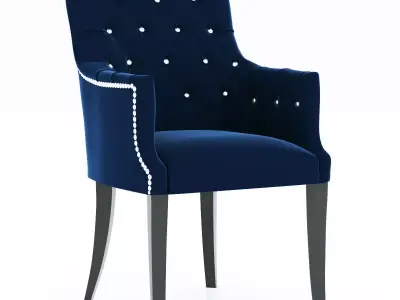 NASU 303 abby 3D model