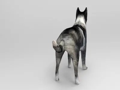 Dog Rigged and Animated  Low-poly 3D model
