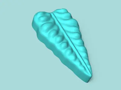 Ornamental Kale Leaf - Silicone Mold Maker - Template 3D print model