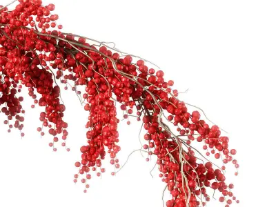 Christmas Wreath With Berries 3D model