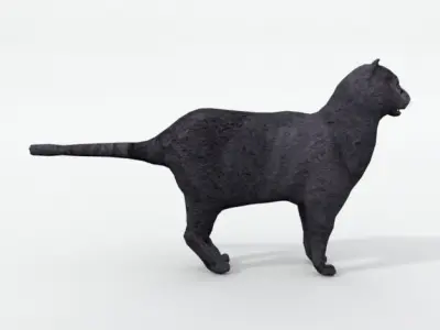 Cat Mammal Low-poly 3D model
