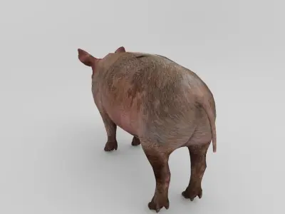 Pig Rigged  Animated 3D model Low-poly 3D model