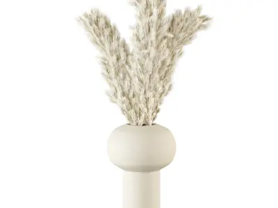 Dry plant set  3D model