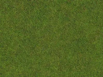 paving stone 3D model